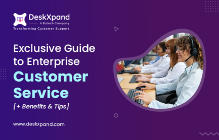 Exclusive Guide to Enterprise Customer Service